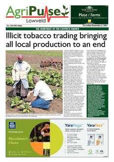 AgriPulse December 2021