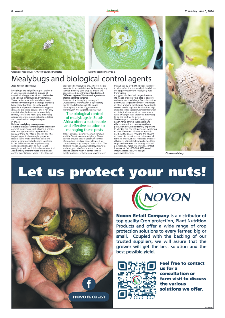 AgriPulse June 2024 page 6