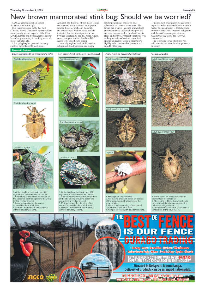 AgriPulse November 2023 page 3