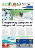 AgriPulse October 2024