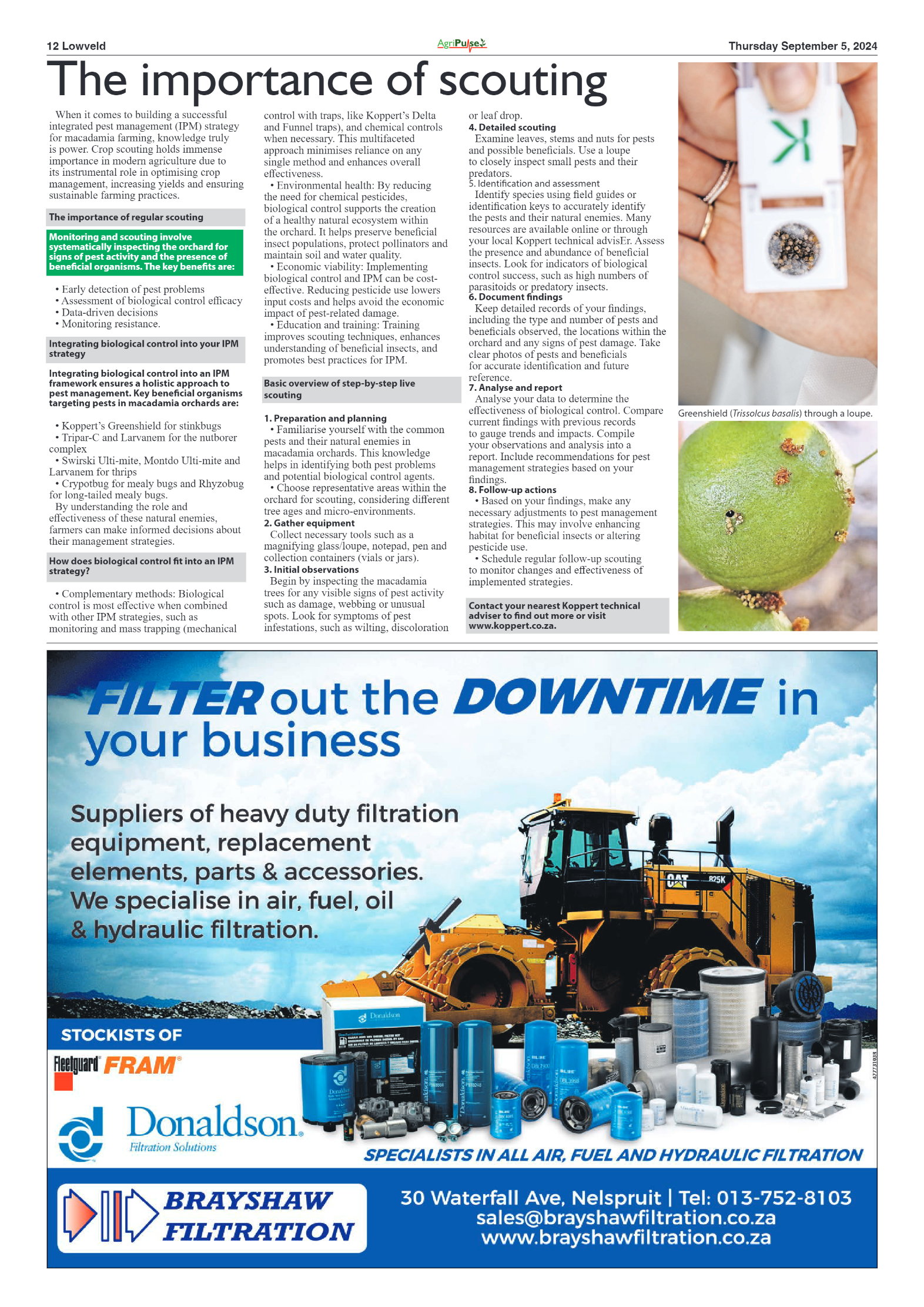 AgriPulse September 2024 page 12