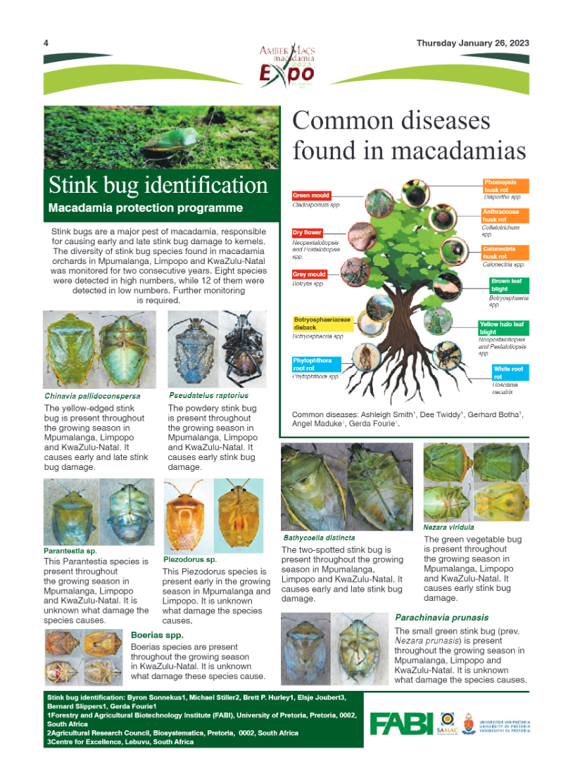 AmberMacs Expo 2023 page 4