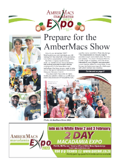 AmberMacs Expo 2023