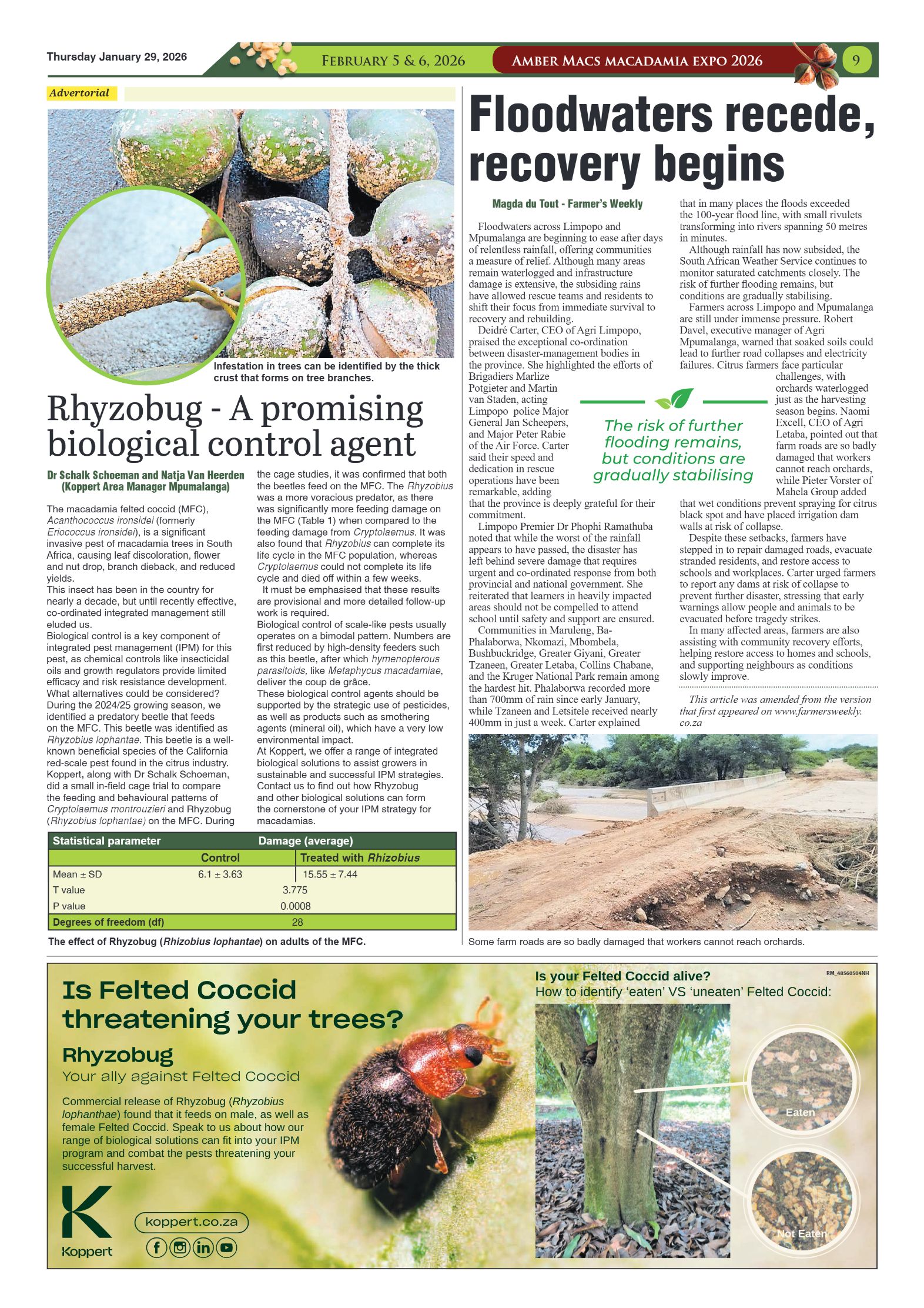 Ambermacs 2026 page 7