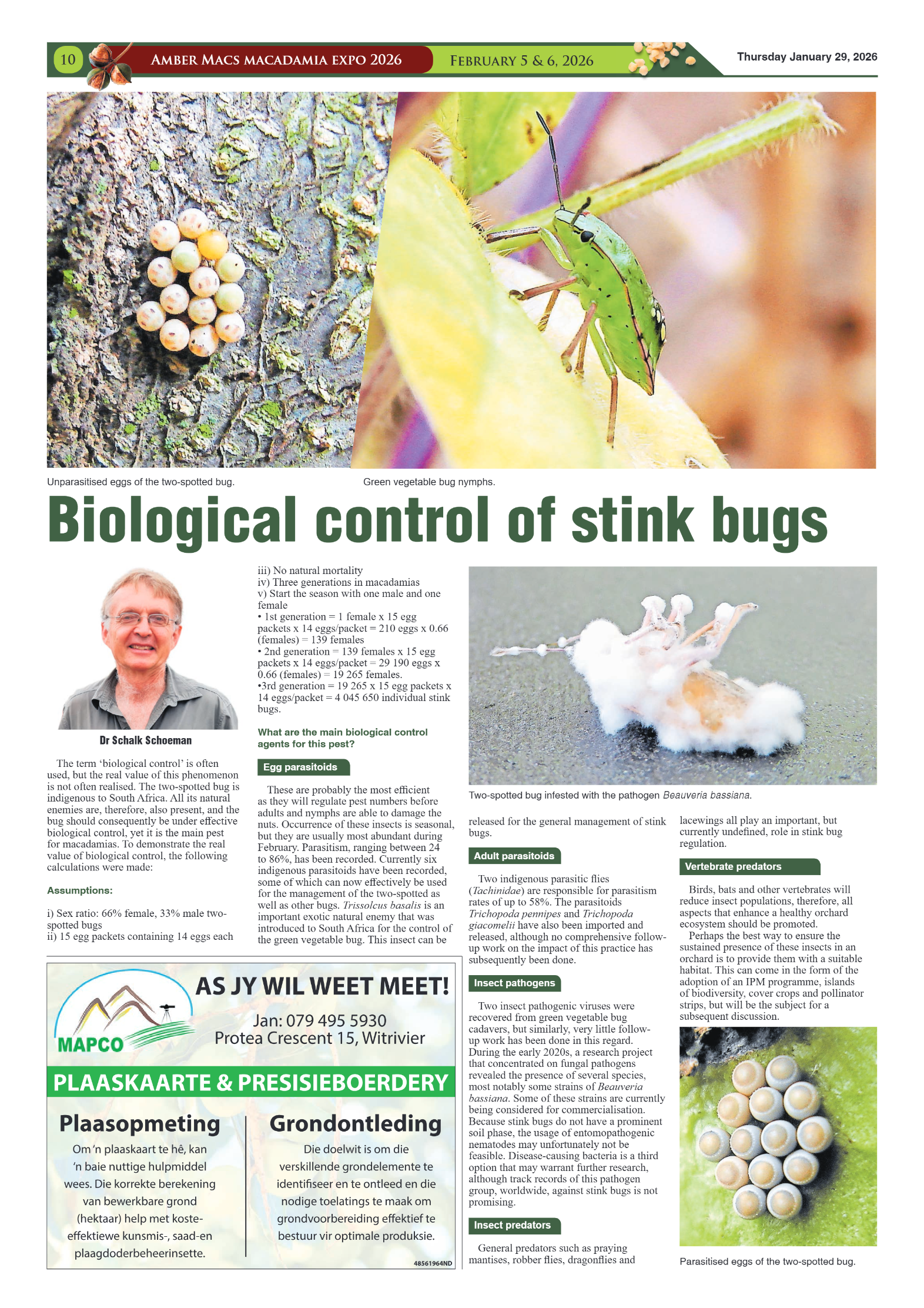 Ambermacs 2026 page 8