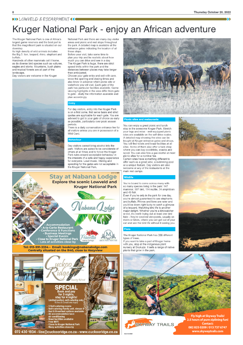 What To Do – Where To Go 2022 page 8