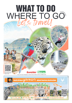 What To Do Where To Go 2024